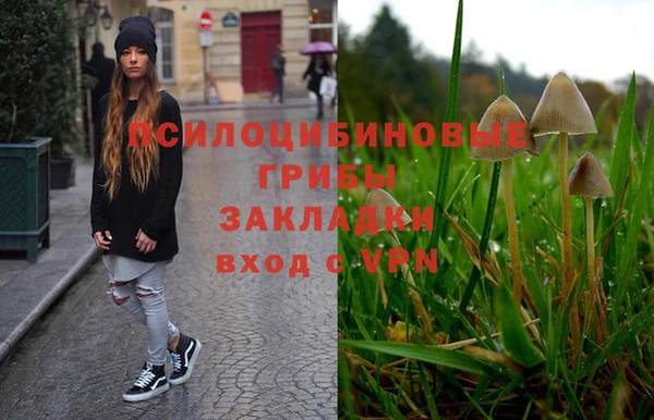 молекула духа Арсеньев