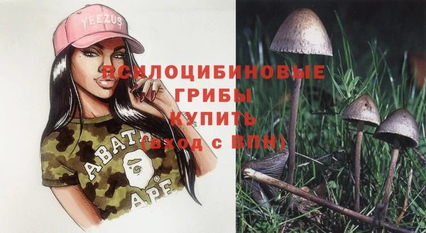 молекула духа Арсеньев