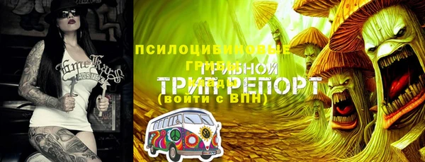 ПСИЛОЦИБИНОВЫЕ ГРИБЫ Алексин