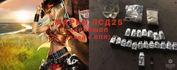молекула духа Арсеньев