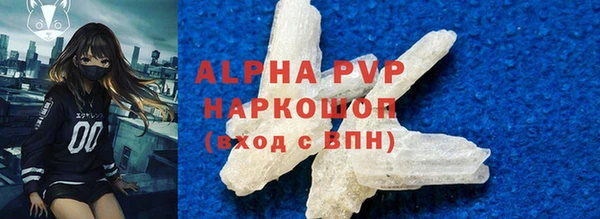 молекула духа Арсеньев