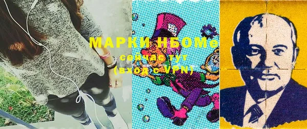 молекула духа Арсеньев