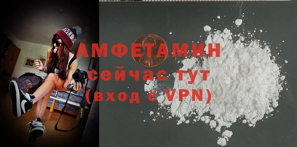 молекула духа Арсеньев