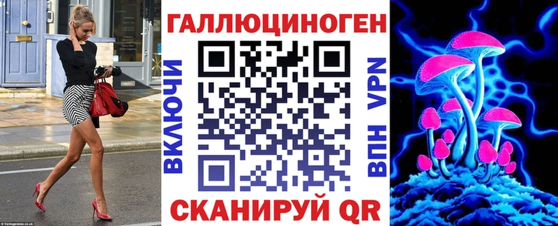 где купить   Рошаль  Галлюциногенные грибы GOLDEN TEACHER 